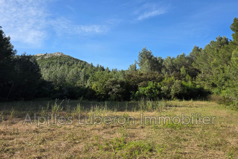 Vente terrain Eygalières  
