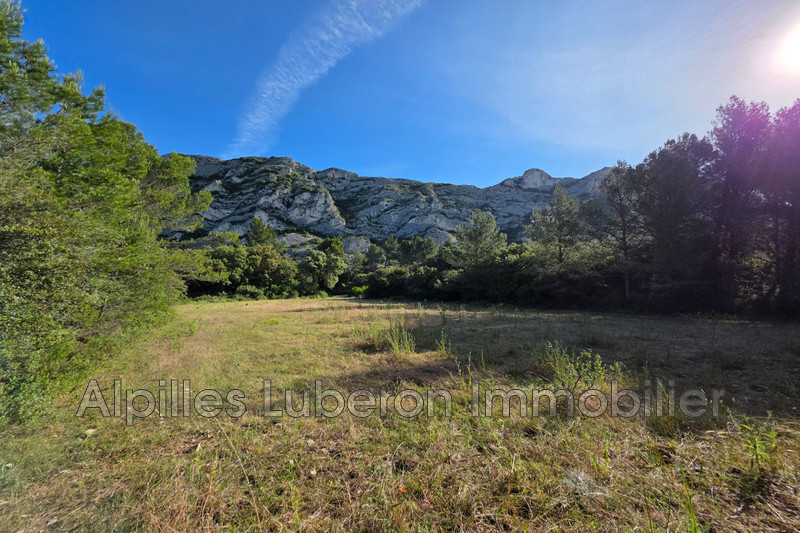 Vente terrain Eygalières  