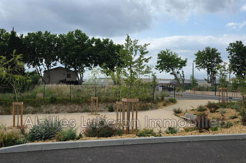 Vente terrain Maillane  