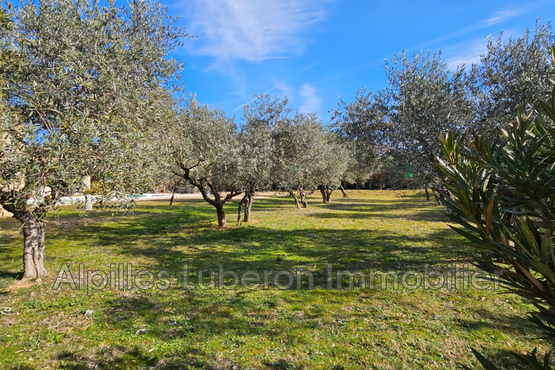 Vente maison Eygalières  