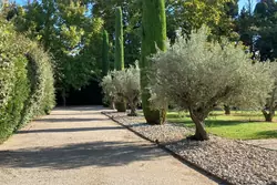 Vente maison de caractère Saint-Rémy-de-Provence  