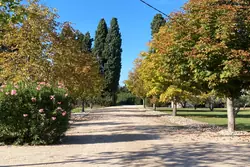 Vente maison de caractère Saint-Rémy-de-Provence  