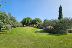 Vente mas Eygalières  