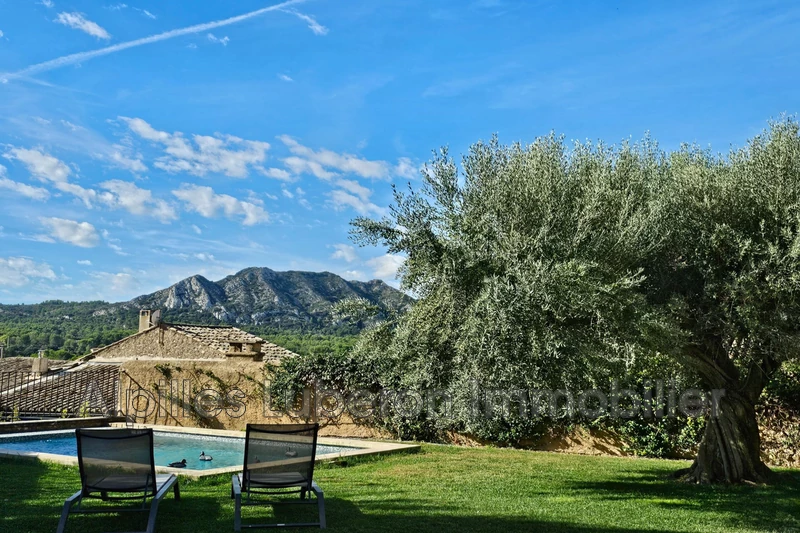 Vente demeure de prestige Eygalières Vente demeure de prestige Eygalières