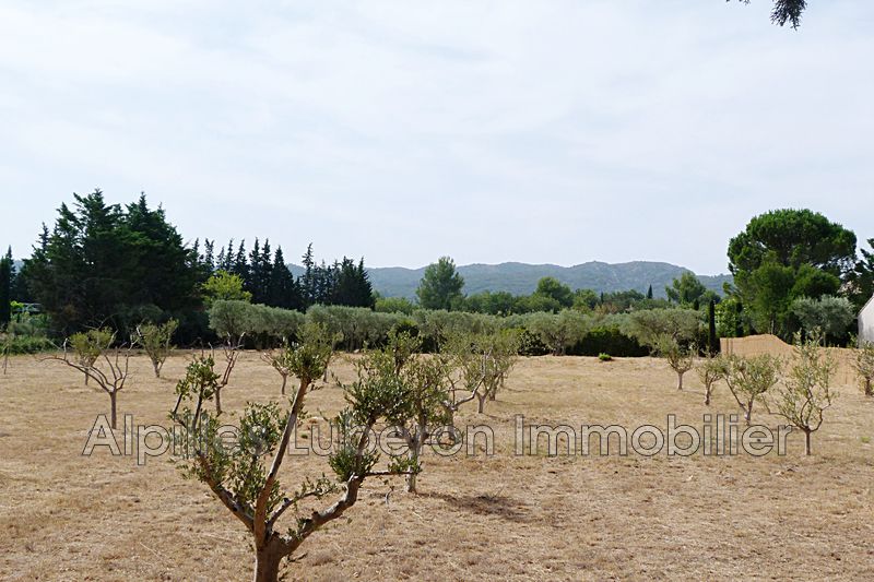Photo Land Eygalières Campagne, to buy land 4000 m²