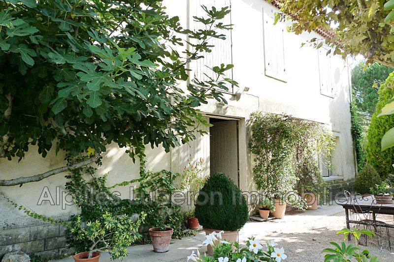 Photo Mas Eygalières Campagne, to buy mas 3 bedroom 120 m²