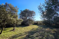 Vente terrain Eygalières  