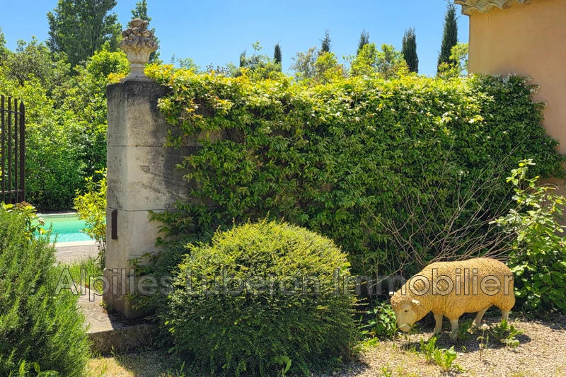 Vente maison de campagne Eygalières  