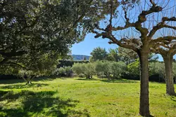 Vente maison Eygalières  