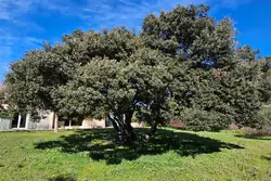 Vente maison Eygalières  