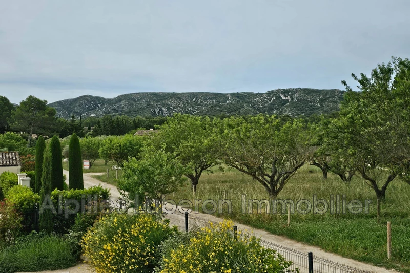 Vente mas Eygalières  