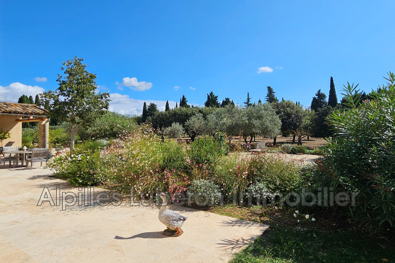 Vente maison de caractère Eygalières  