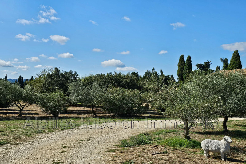 Vente maison de caractère Eygalières  