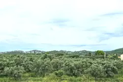 Vente maison Aureille Vente maison Aureille