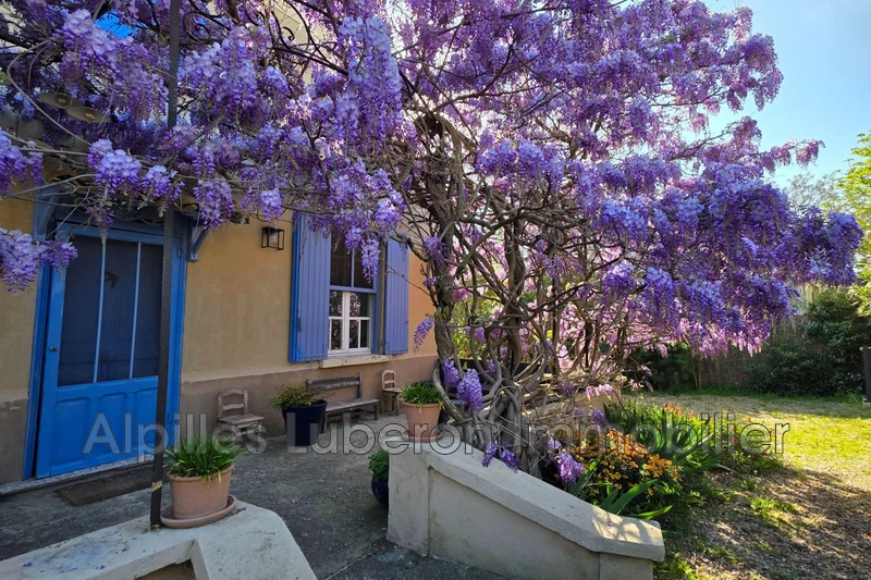 Vente maison Eygalières  