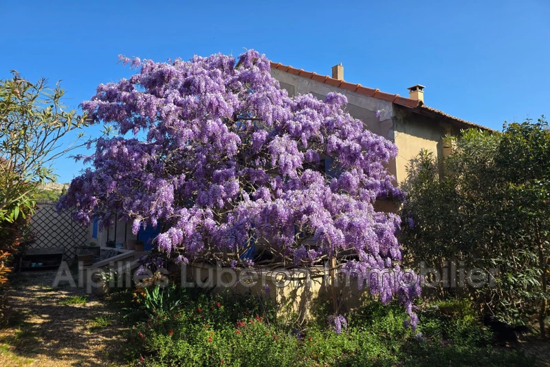 Vente maison Eygalières  