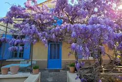 Vente maison Eygalières  