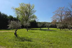 Vente propriété Eygalières  