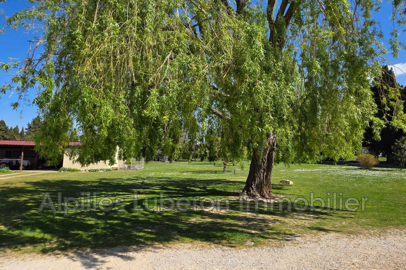Vente maison Eygalières  