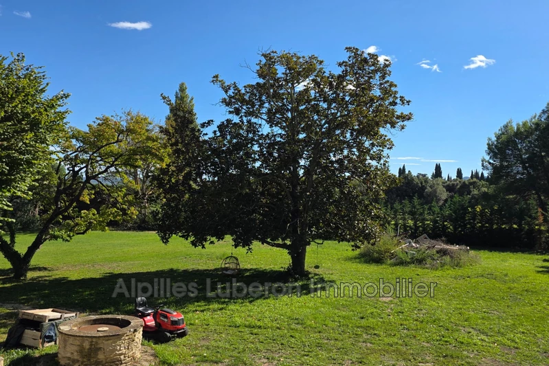 Vente mas Eygalières  