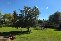 Vente mas Eygalières  