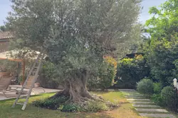 Vente maison de village Eygalières  