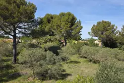 Vente mas Eygalières  