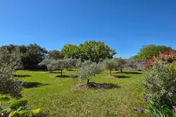 Vente maison Cabrières-d'Avignon Vente maison Cabrières-d'Avignon