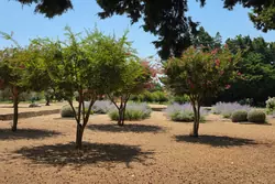Vente propriété L'Isle-sur-la-Sorgue  