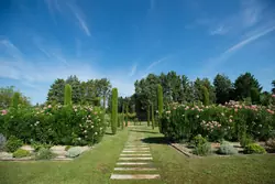 Vente demeure de prestige Saint-Rémy-de-Provence  