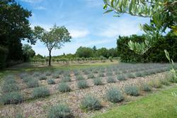 Vente demeure de prestige Saint-Rémy-de-Provence  