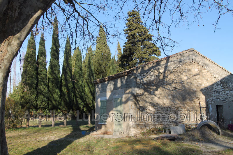 Photo Mas Saint-Rémy-de-Provence Saint-rémy-de-provence, to buy mas 688 m²