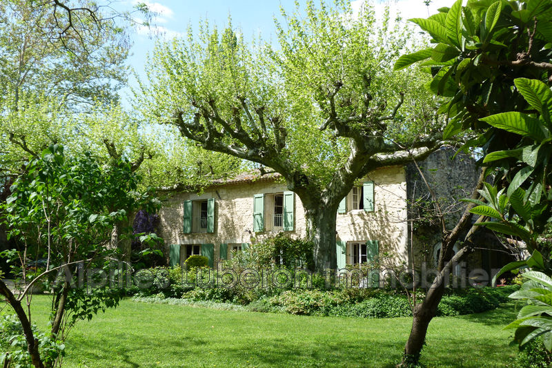 Photo Mas Saint-Rémy-de-Provence Campagne, achat mas 4 chambres 260 m²