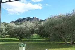 Vente demeure de prestige Eygalières  