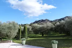 Vente demeure de prestige Eygalières  