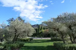 Vente demeure de prestige Eygalières  