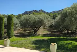 Vente demeure de prestige Eygalières  