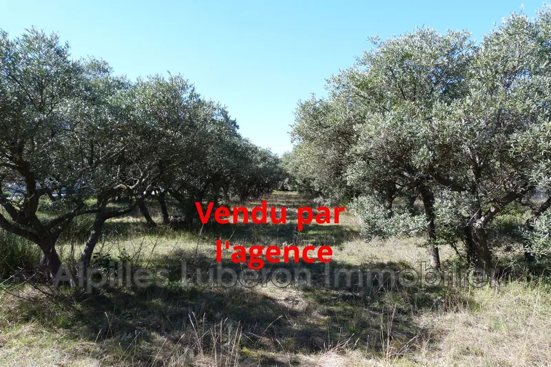 Vente terrain Eygalières  