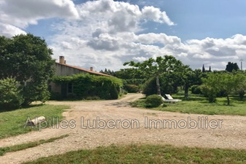Photo Maison de campagne Eygalières achat maison de campagne 5 chambres 190 m²