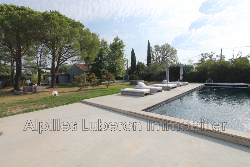 Photo Maison Saint-Rémy-de-Provence Campagne, achat maison 4 chambres 181 m²