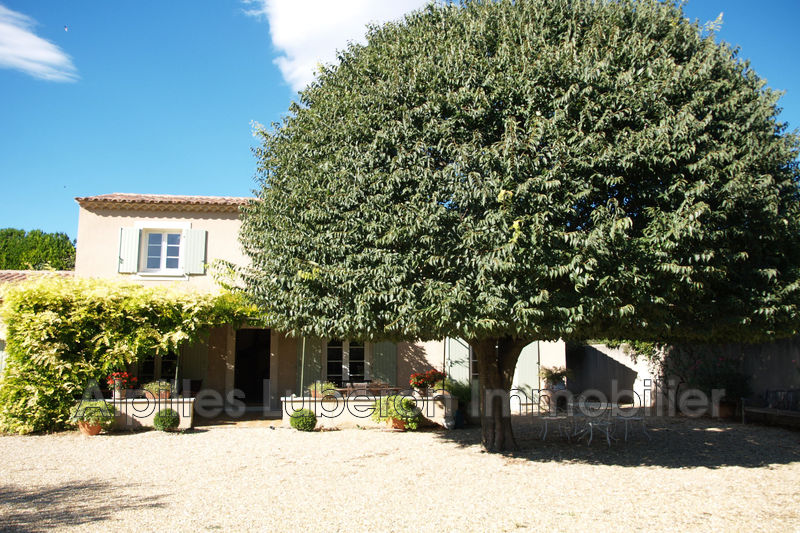 Photo Maison Saint-Rémy-de-Provence Proche village, achat maison 4 chambres 130 m²