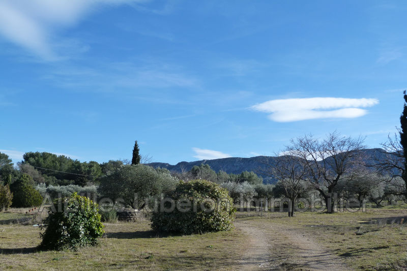 Photo Villa Saint-Rémy-de-Provence Campagne, to buy villa 4 bedroom 170 m²