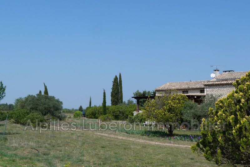 Photo Maison de campagne Saint-Rémy-de-Provence Campagne, achat maison de campagne 4 chambres 170 m²