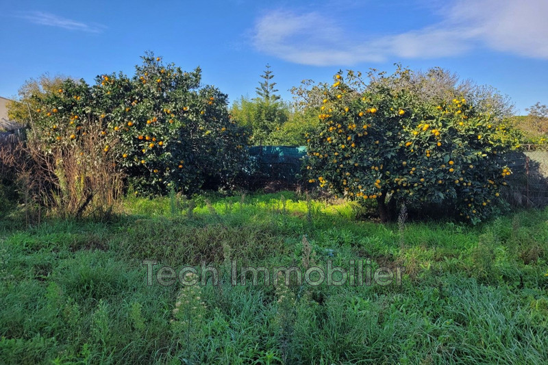 Vente maison Argelès-sur-Mer  