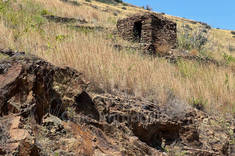 Vente terrain agricole Banyuls-sur-Mer  