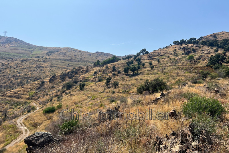 Vente terrain agricole Banyuls-sur-Mer  