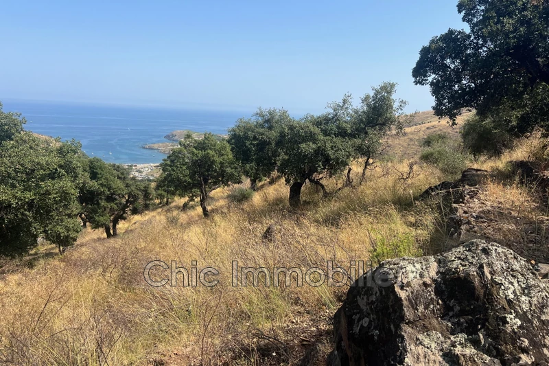 Vente terrain agricole Banyuls-sur-Mer  