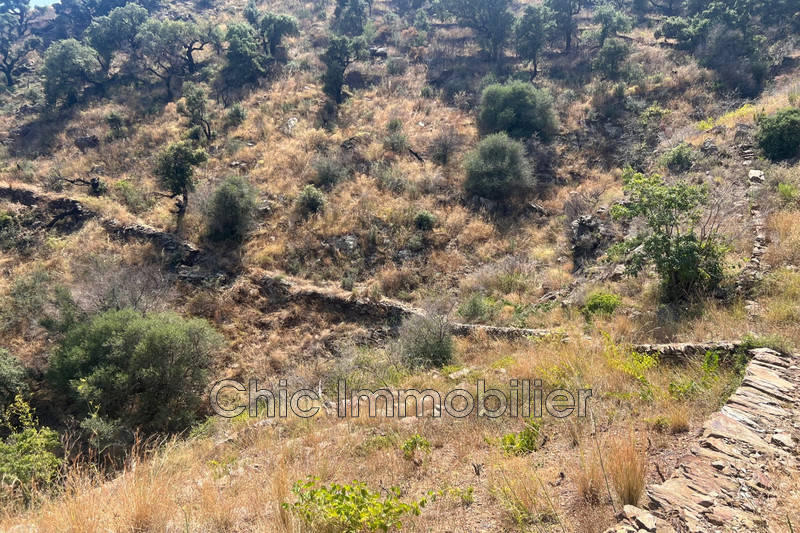 Vente terrain agricole Banyuls-sur-Mer  