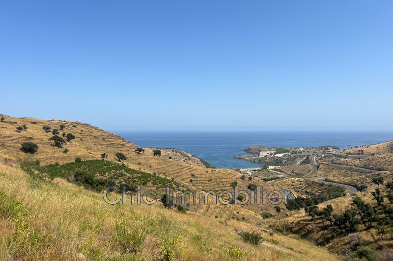 Vente terrain agricole Banyuls-sur-Mer  