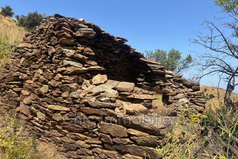 Vente terrain agricole Banyuls-sur-Mer  
